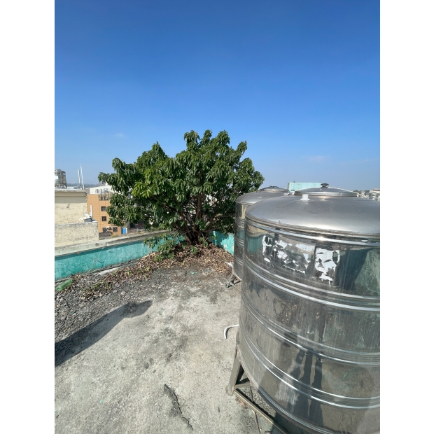 拆除樹木/新增排水孔/重新上防水